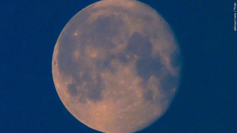 Strawberry moon set to light up the sky this week