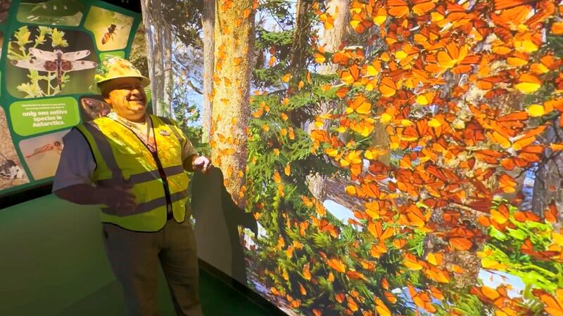 New Audubon Insectarium and Aquarium reopens after $41 million renovation