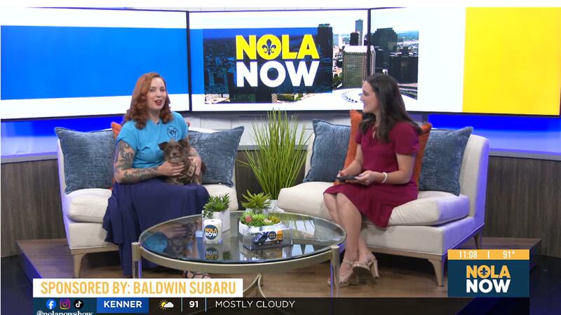 Pet Project: National Foster Appreciation Week